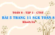 Bài 5 trang 11 SGK Toán 8 Tập 1 Chân trời sáng tạo